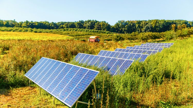 Solar Farms | ClearWorld LLC